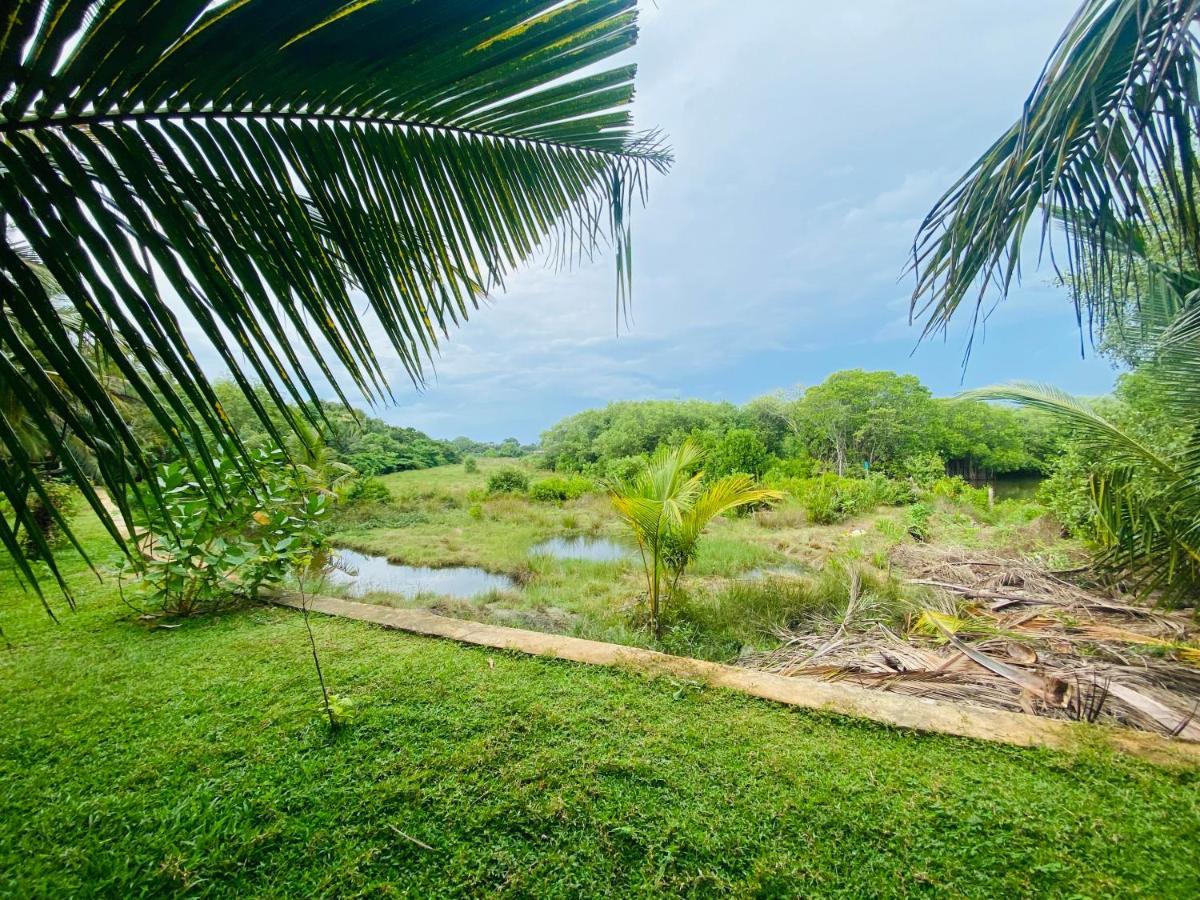 Hidden Garden Тангалла Экстерьер фото