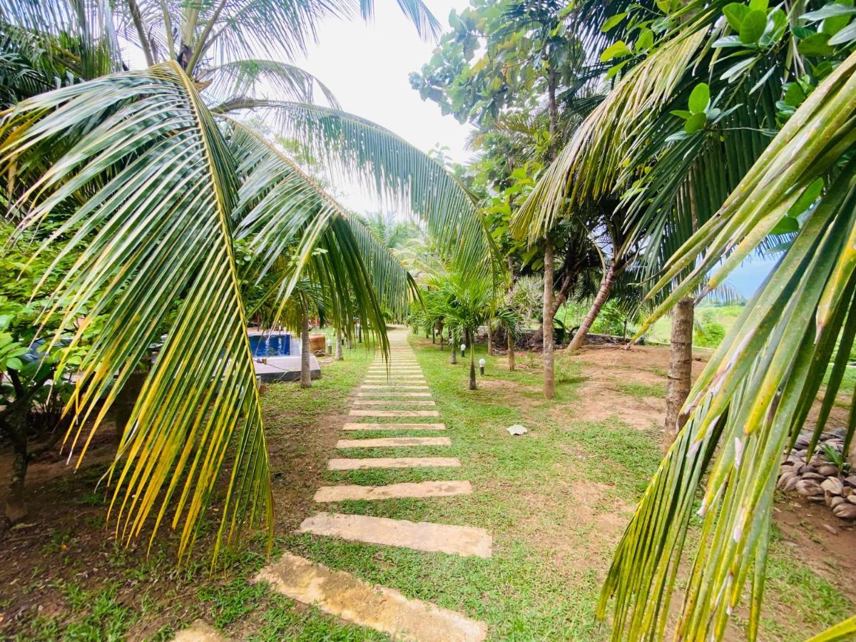 Hidden Garden Тангалла Экстерьер фото