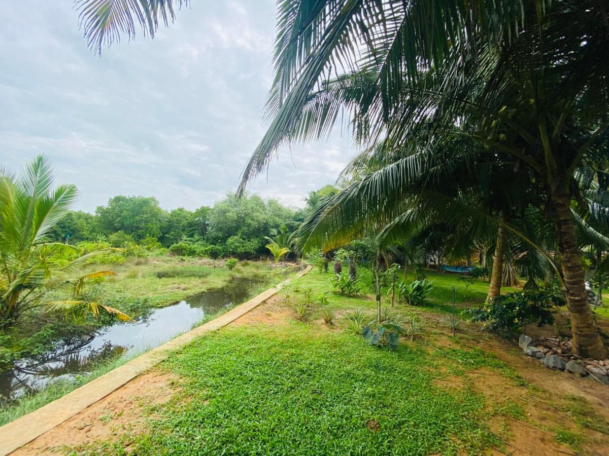 Hidden Garden Тангалла Экстерьер фото