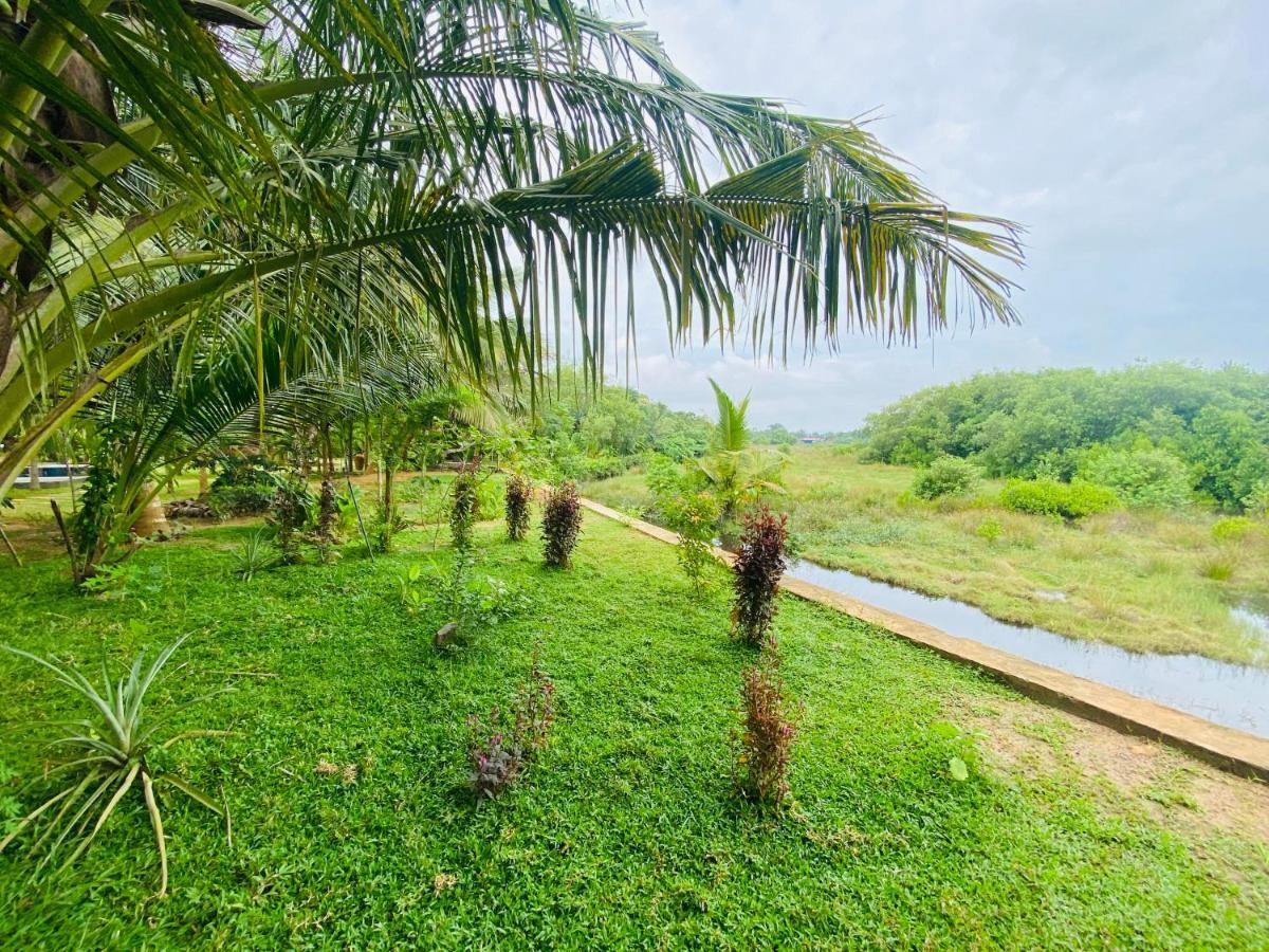 Hidden Garden Тангалла Экстерьер фото
