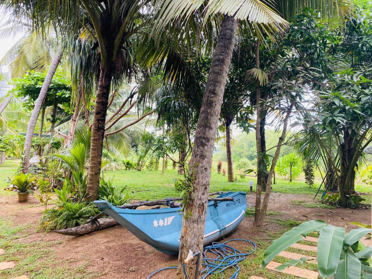 Hidden Garden Тангалла Экстерьер фото