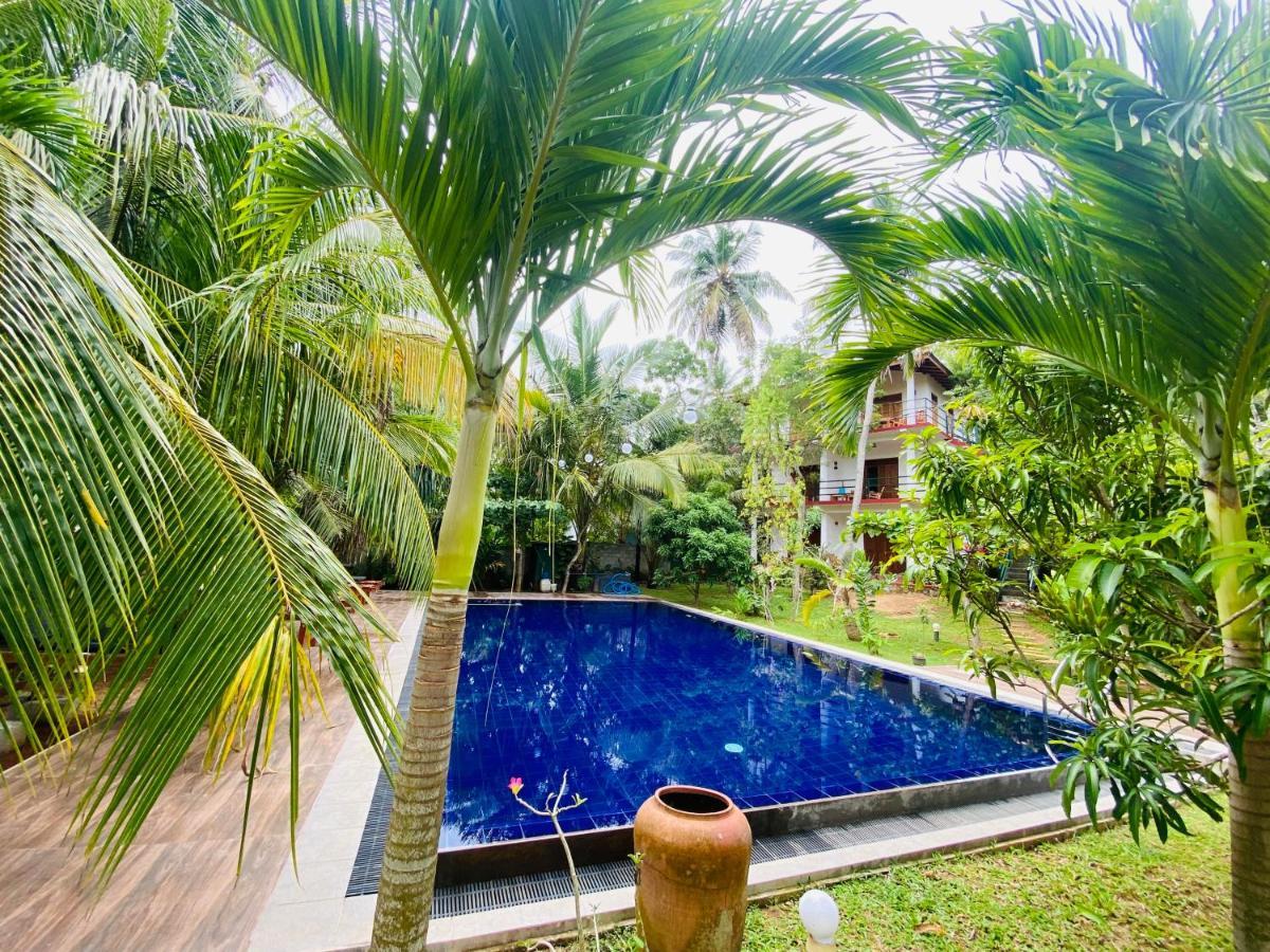Hidden Garden Тангалла Экстерьер фото