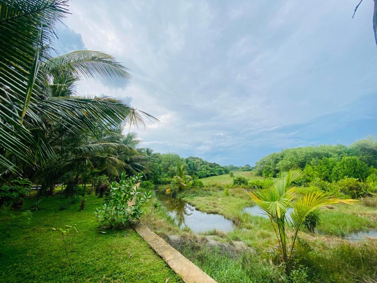 Hidden Garden Тангалла Экстерьер фото
